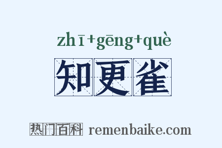 知更雀是什么意思的图片